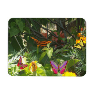 Löv och Butterflies Premium Magnet