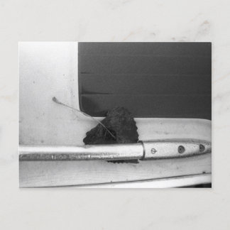 Löv och Grab Rail Vykort