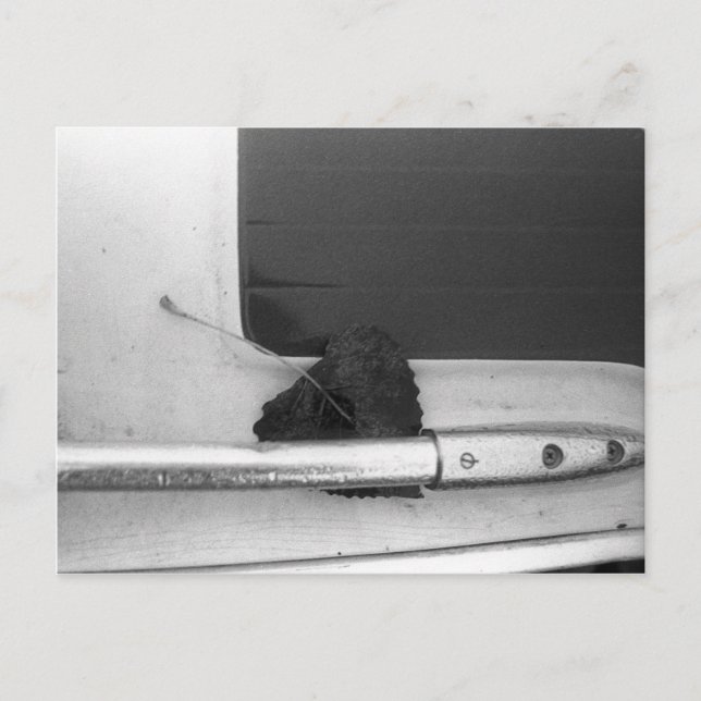 Löv och Grab Rail Vykort (Framsida)