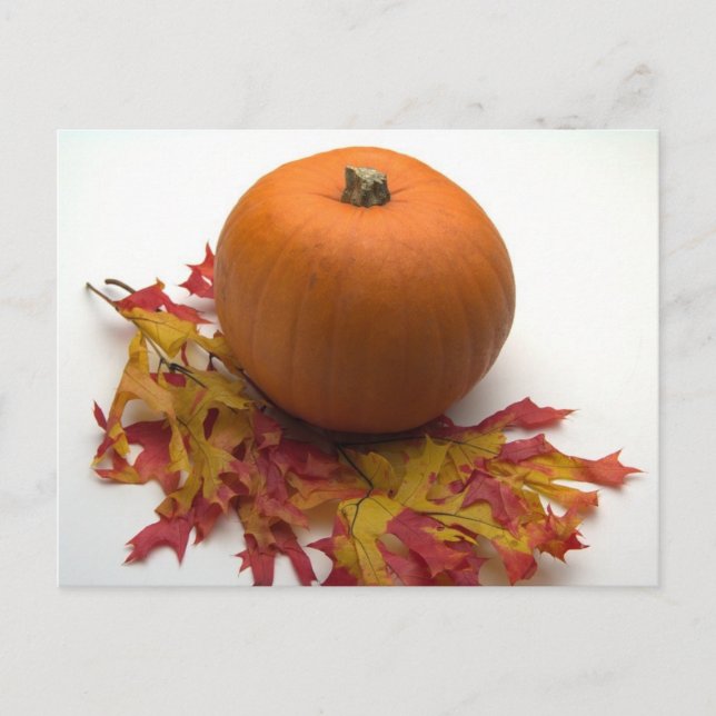 Löv och pumpor vykort (Framsida)