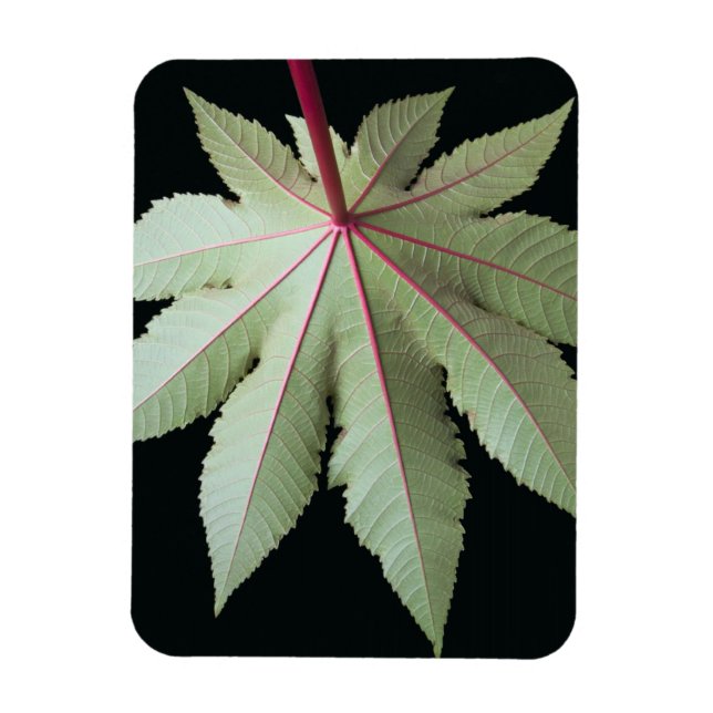 Löv och Stem Magnet (Vertikal)