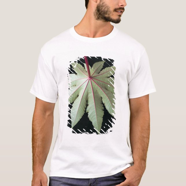 Löv och Stem T Shirt (Framsida)