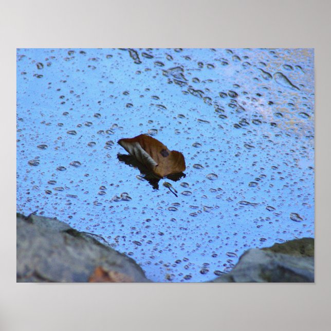 Löv Photo Poster (Framsidan)