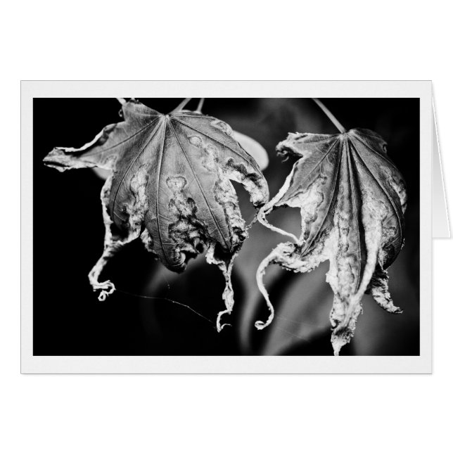 löv play-kyckling hälsningskort (Framsidan Horizontal)