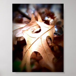 Löv… Poster