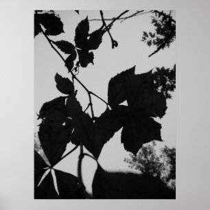 Löv Poster