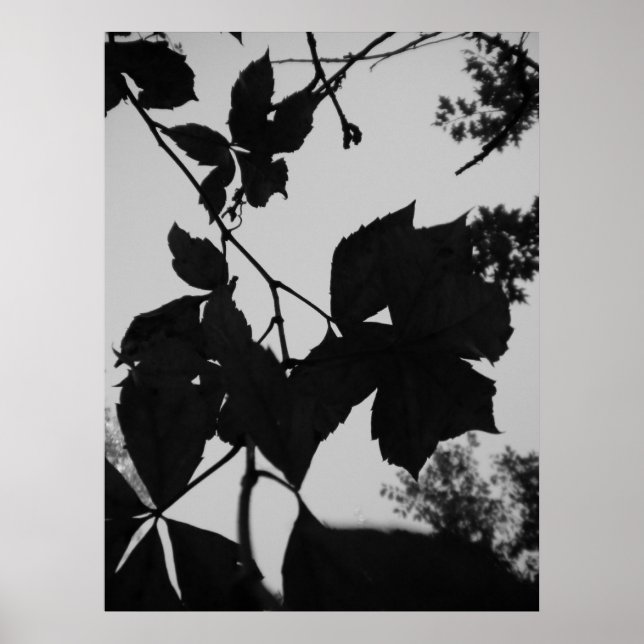 Löv Poster (Framsidan)