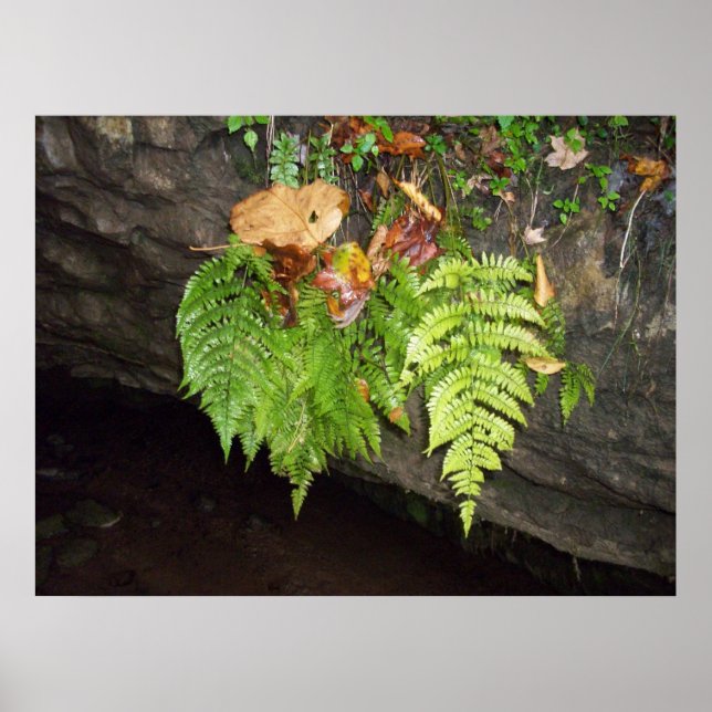 Löv Poster (Framsidan)