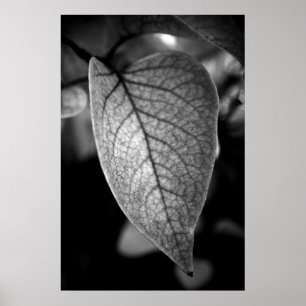 Löv Poster