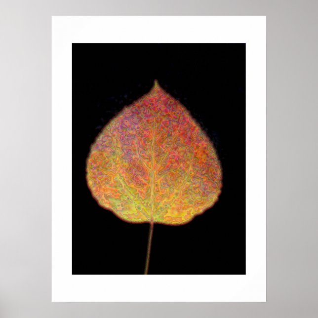 Löv Poster (Framsidan)