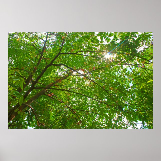 Löv Poster (Framsidan)