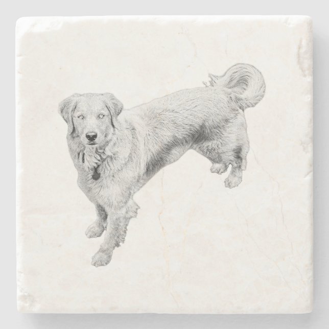 Löv-Season Sentinel Stenunderlägg (Framsidan)