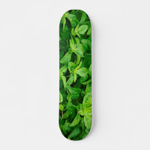Löv Skateboard 2