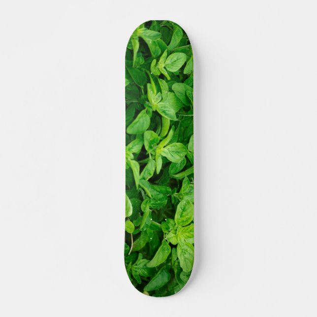 Löv Skateboard 2 (Framsida)