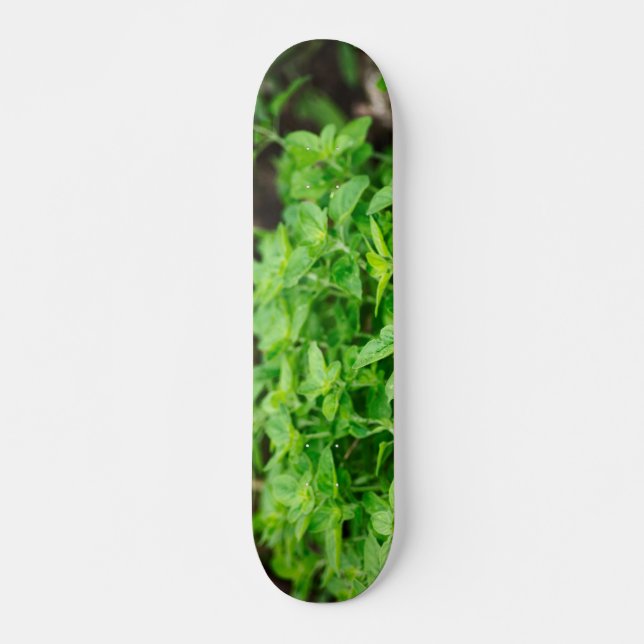 Löv Skateeboard Skateboard Bräda 20 Cm (Framsida)