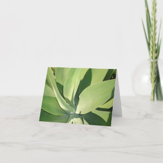 Löv & skuggar v2 kort