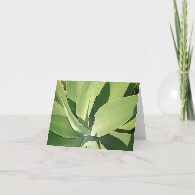 Löv & skuggar v2 kort (Framsida)