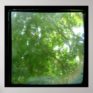 Löv TTV Poster