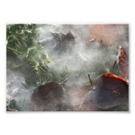 löv under is fototryck