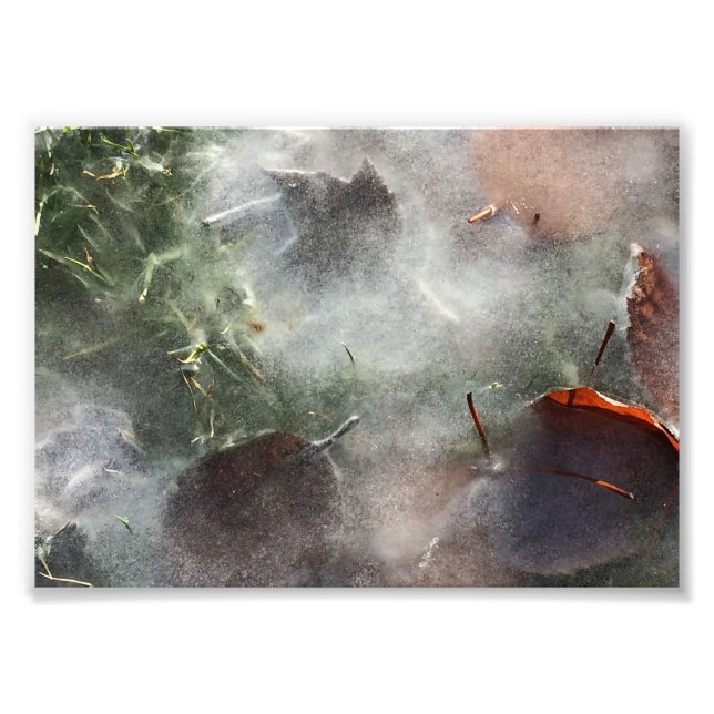 löv under is fototryck (Framsidan)