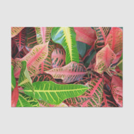 Löv-utgivningspapper