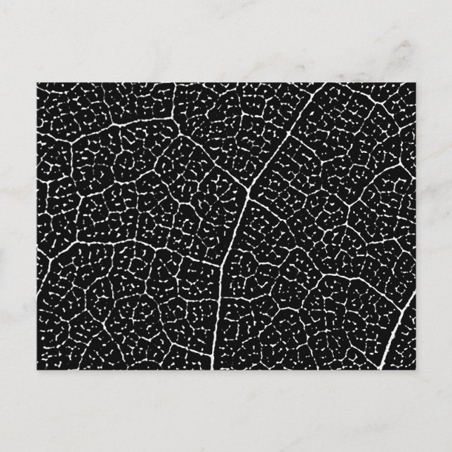 Löv Veins struktur Vykort (Framsida)
