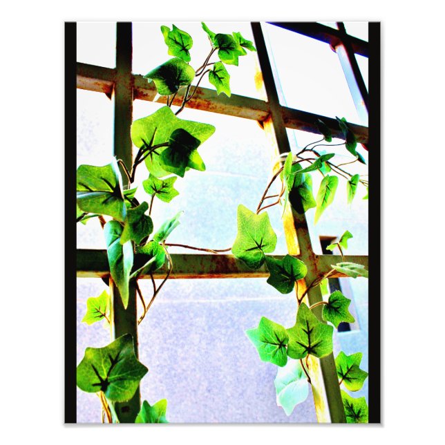 Löv View Fototryck (Framsidan)