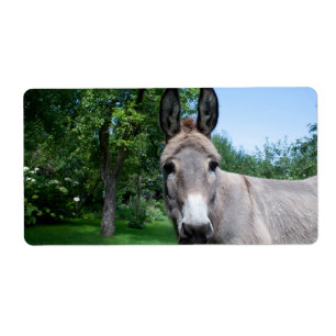 Lova Donkey Porträtt Fraktsedel