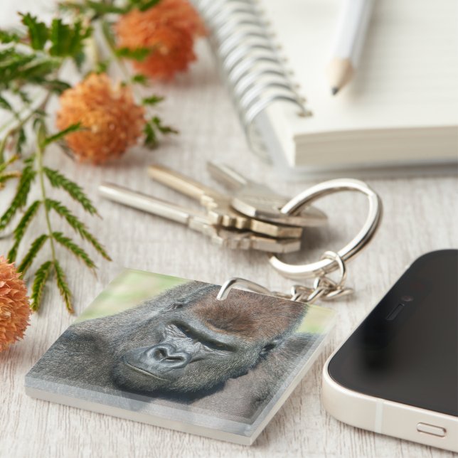 Lova Gorilla Channels Hans Far's Stare (Högra Framsidan)