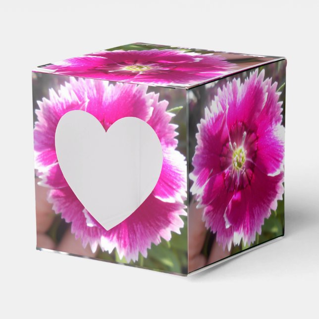 Lova Presentaskar (Framsidan Sidan)