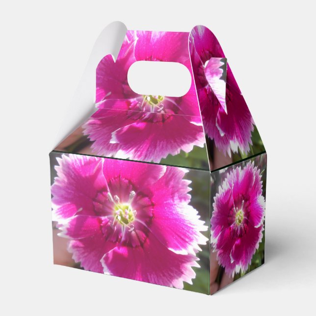 Lova Presentaskar (Baksidan Sidan)