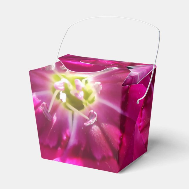 Lova Presentaskar (Framsidan Sidan)