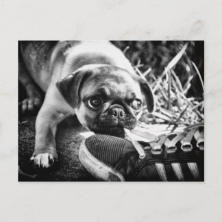 Lova uppspelningsfulla meddelanden vykort