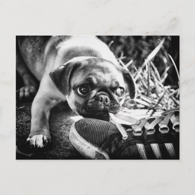 Lova uppspelningsfulla meddelanden vykort (Framsida)