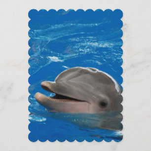 Lovable Dolphin Inbjudningar