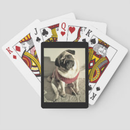 Lovable Pug i en röd svettare Casinokort