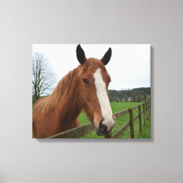 Lovable Quarter Horse Canvastryck