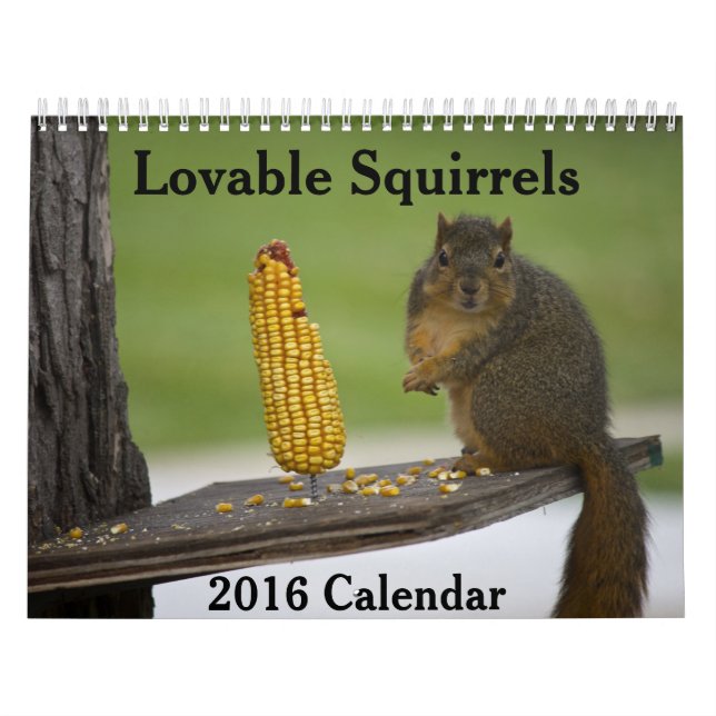Lovable Squirres 2016 Calendar Kalender (Omslag)
