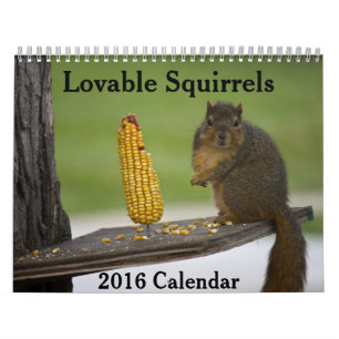 Lovable Squirres 2016 Calendar Kalender