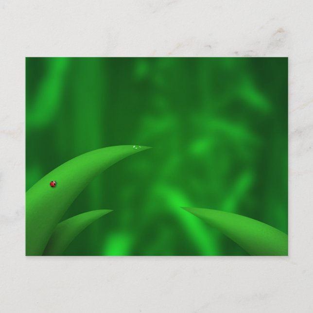 Lovande Gröntarna! Vykort (Framsida)