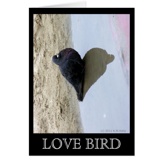Love Bird Card OBS Kort (Framsidan)