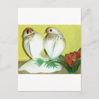 Love Bird in Snäcka Vykort