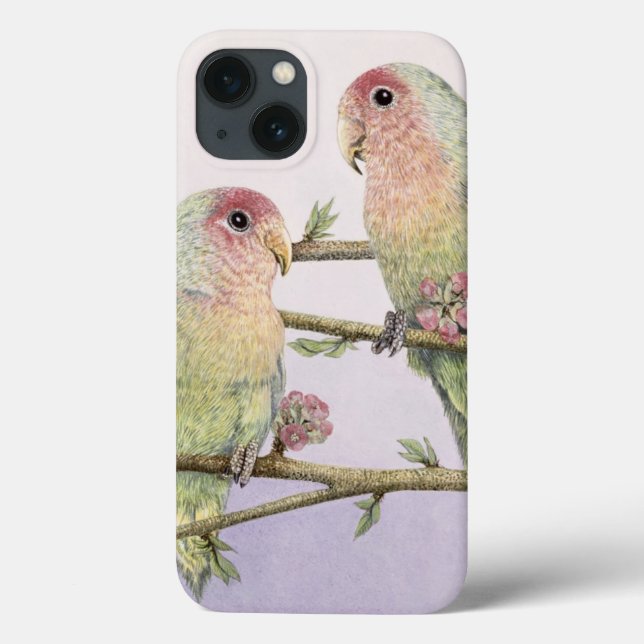 Love birds (Baksida)