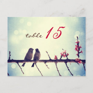 LOVE BIRDS 2 VYKORT
