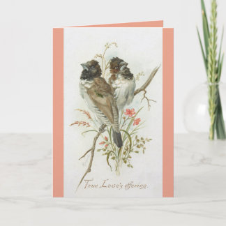Love Birds Anniversary Greeting Card Kort