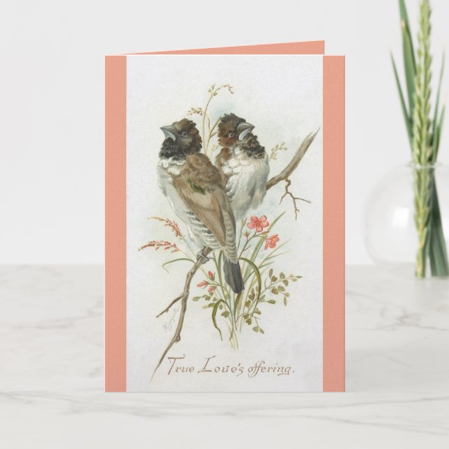 Love Birds Anniversary Greeting Card Kort (Framsida)