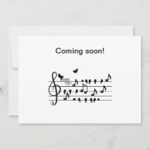 love birds, anpassade förväntas