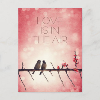 Love birds artikel vykort
