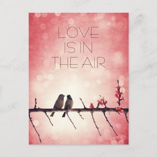 Love birds artikel vykort (Framsida)