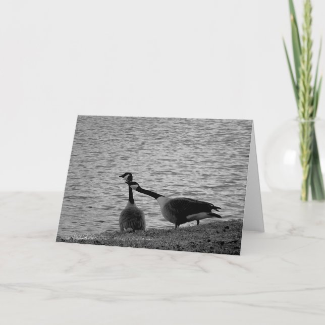 Love birds B&W Kort (Framsida)